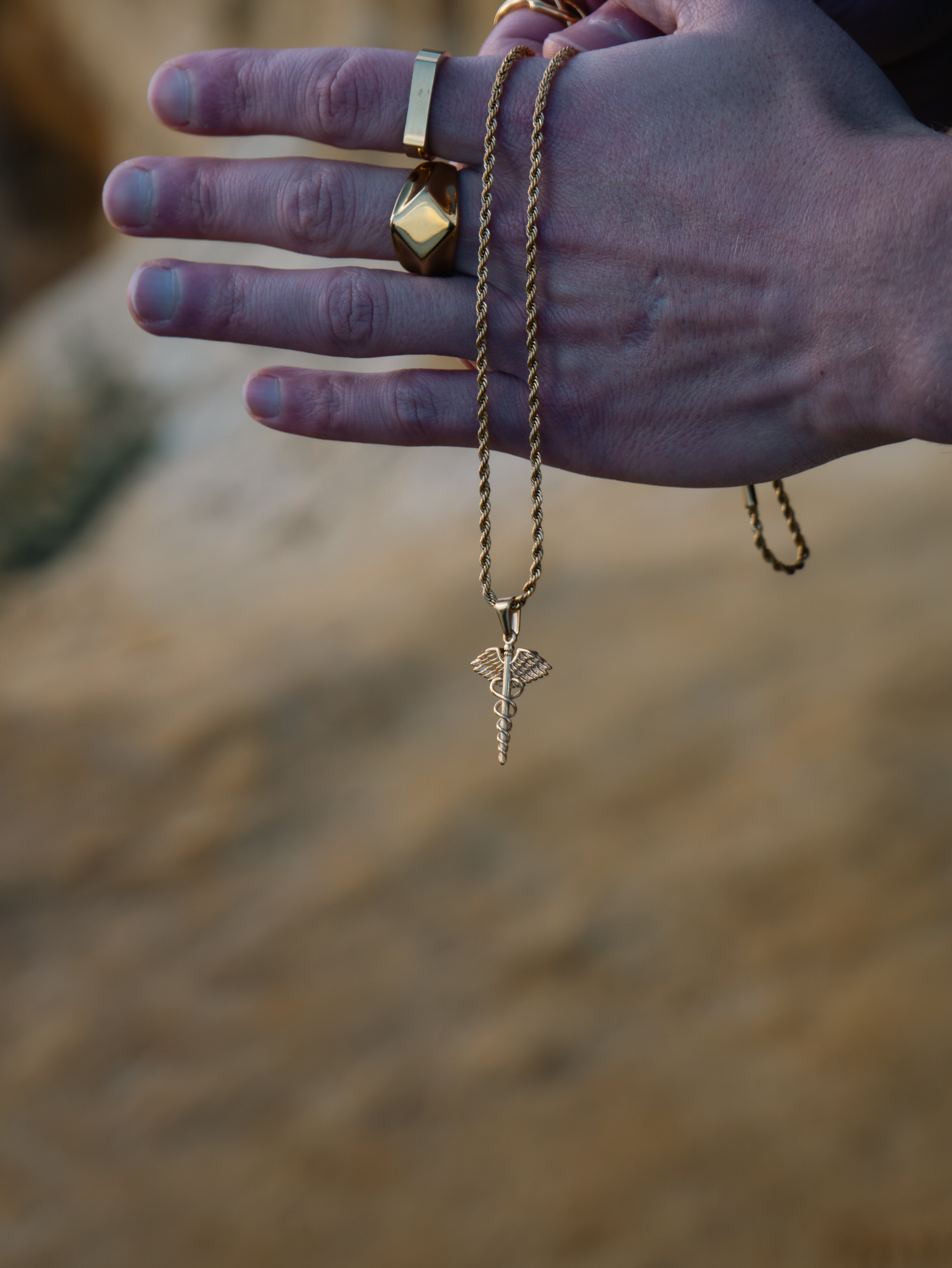 WINGED HELIX PENDANT (GOLD)