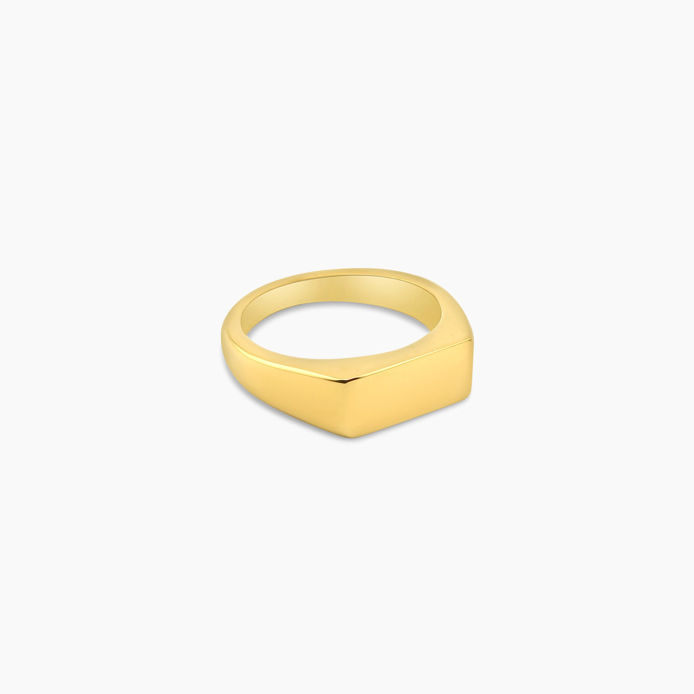 SLATE SIGNET RING (GOLD)